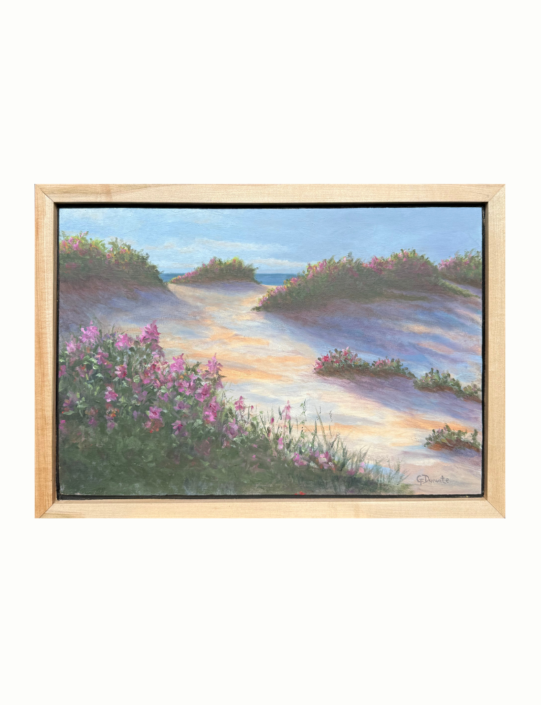 Beach Roses, Corporation Beach