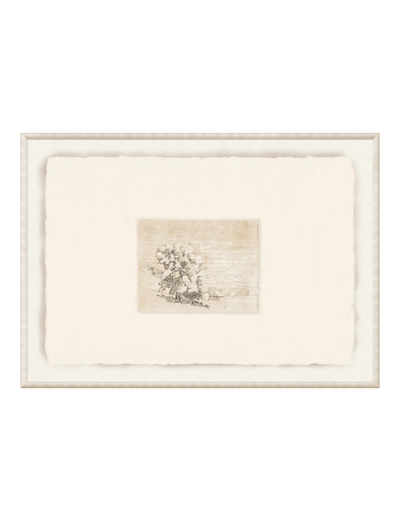Petit Landscape I Framed Print