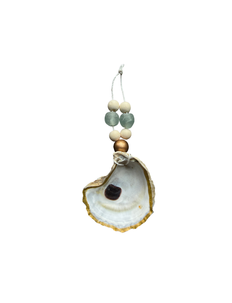 Shell Ornament