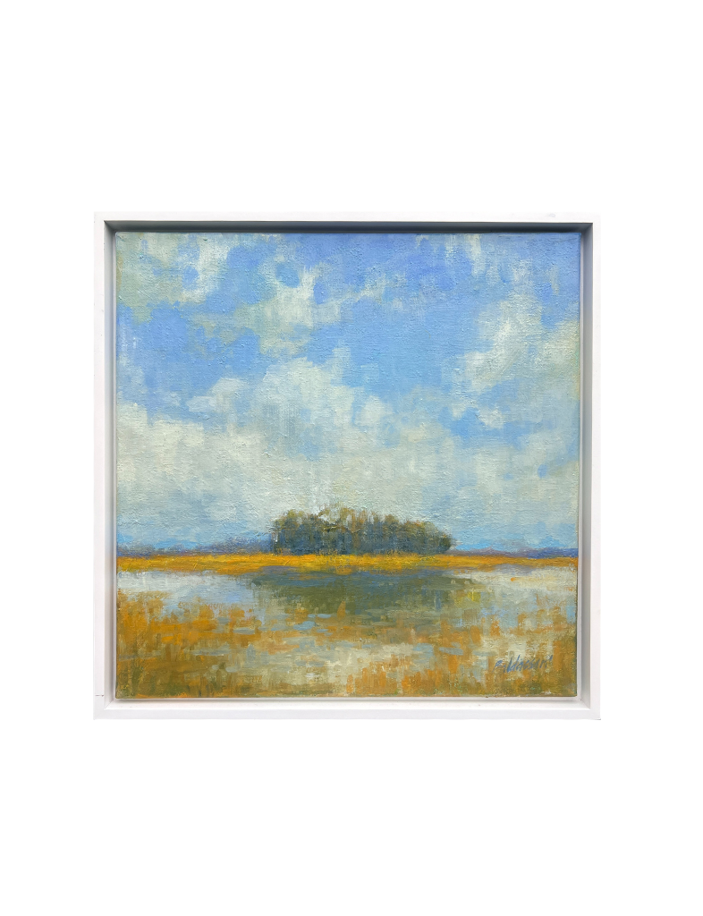 Marsh Patterns
