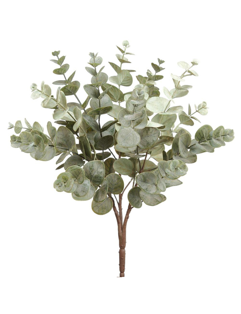 Eucalyptus Bush Stem