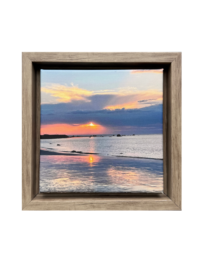 Reflections Framed Print
