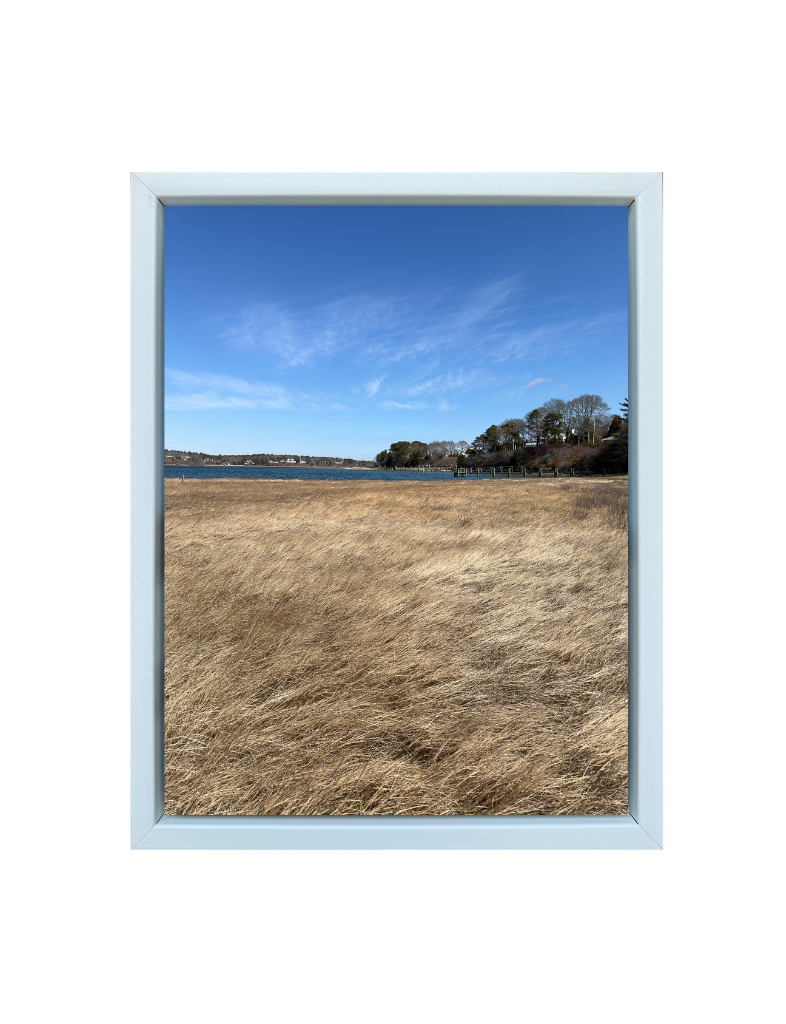 In The Breeze Print