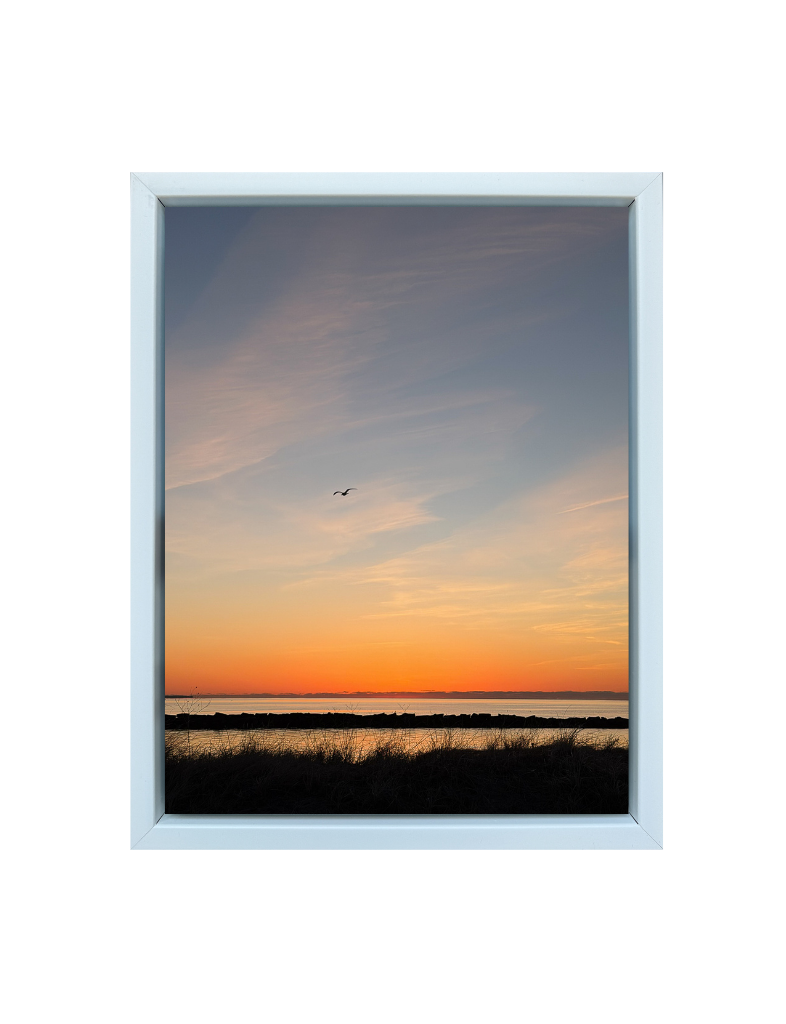 Lonely Flight Print