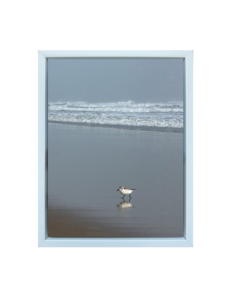 Little Shore Bird Print