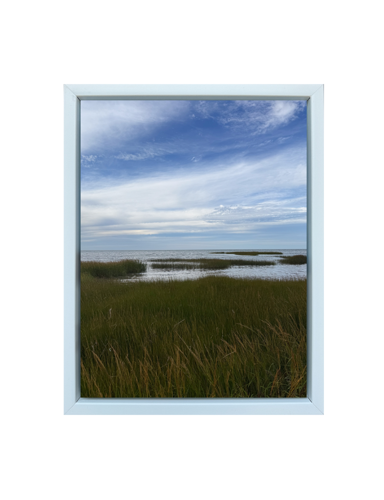 Dennis Marsh Print