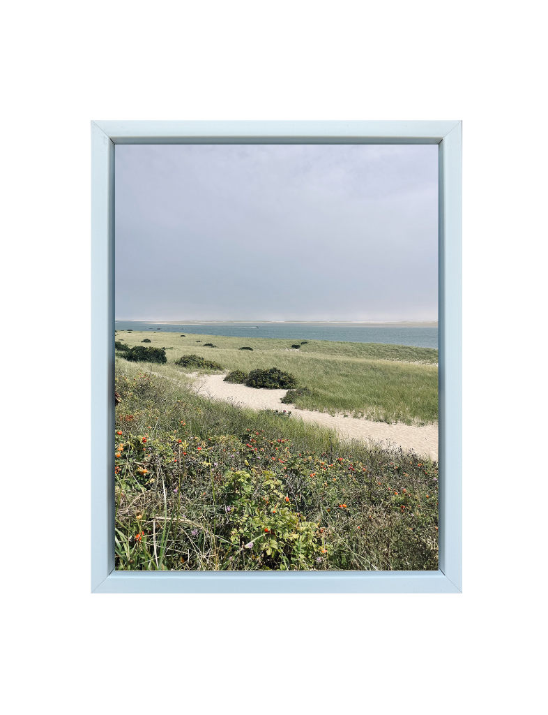Chatham Shore Print