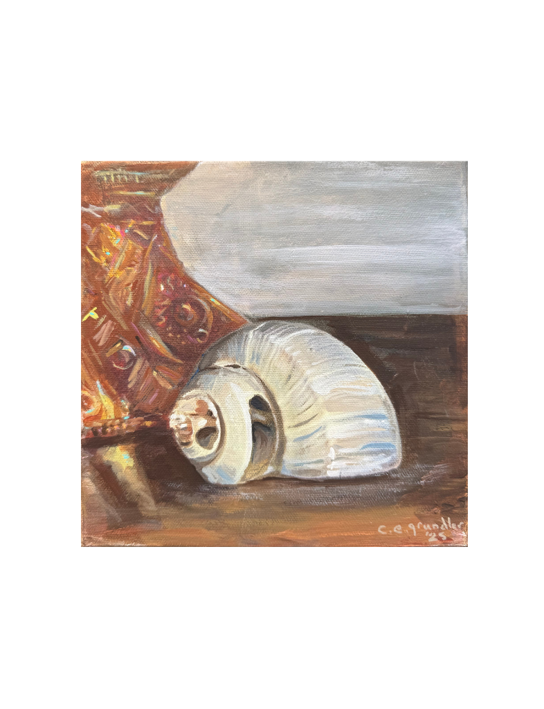 Shell Study III