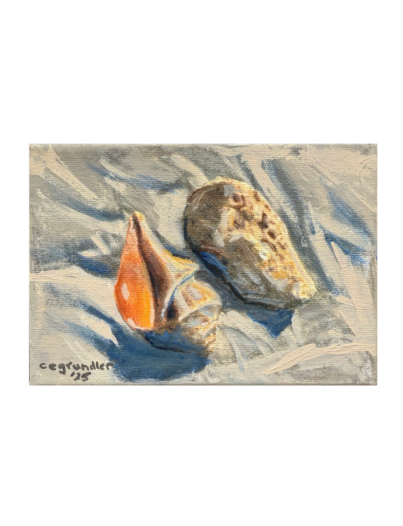 Shell Study II