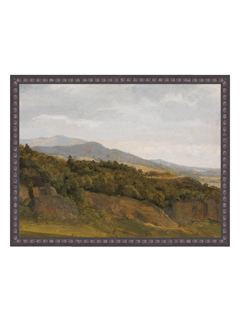 Landscape Vintage Print IV