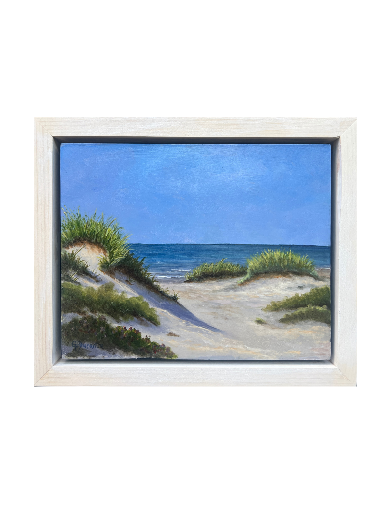 Coast Guard Beach Day