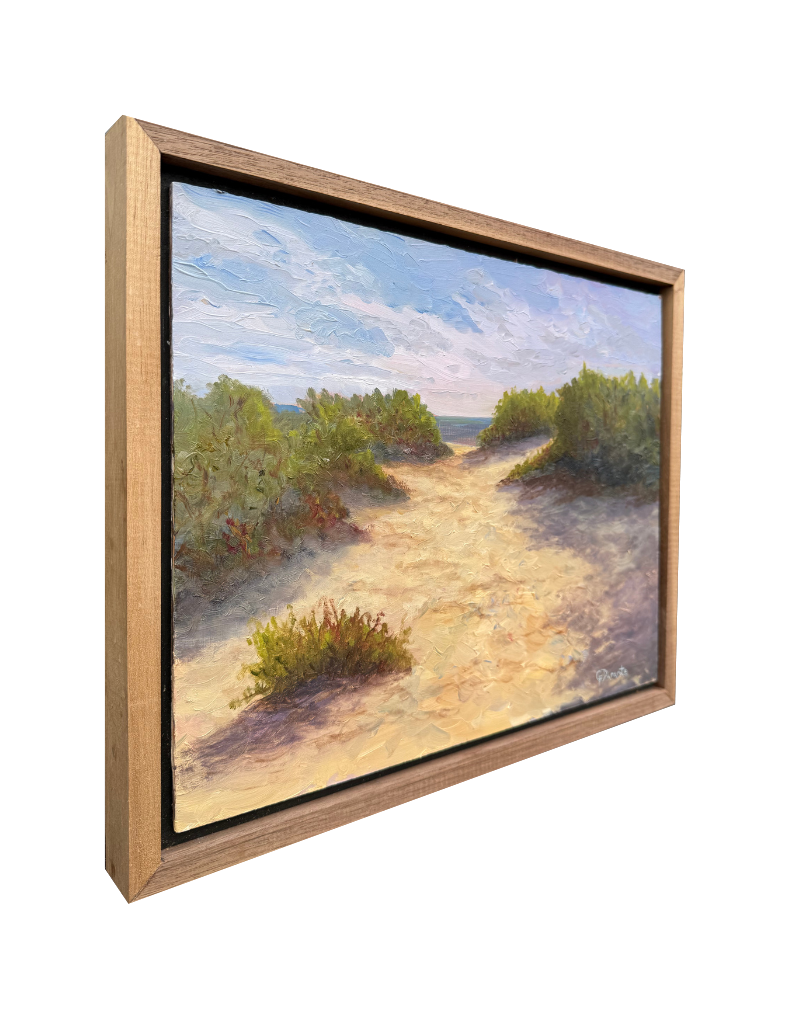 Path To Hardings Beach