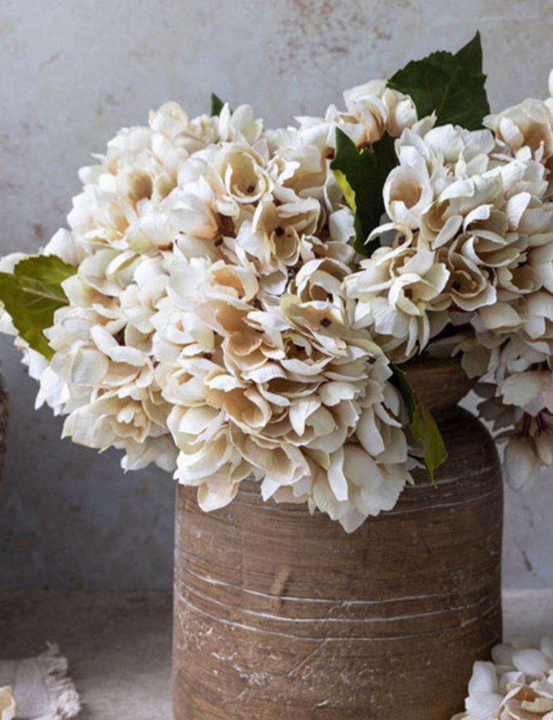 Soft Hydrangea Stem