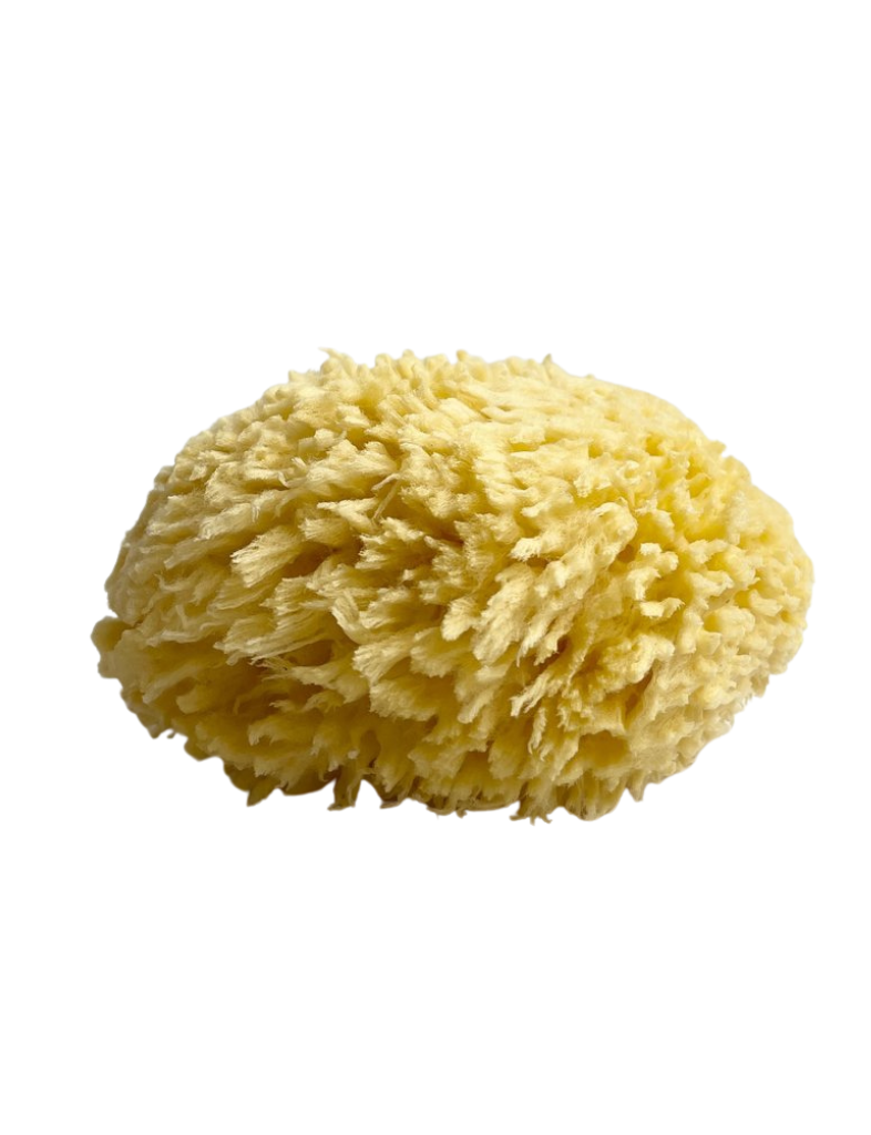 Natural Bath Sea Sponge