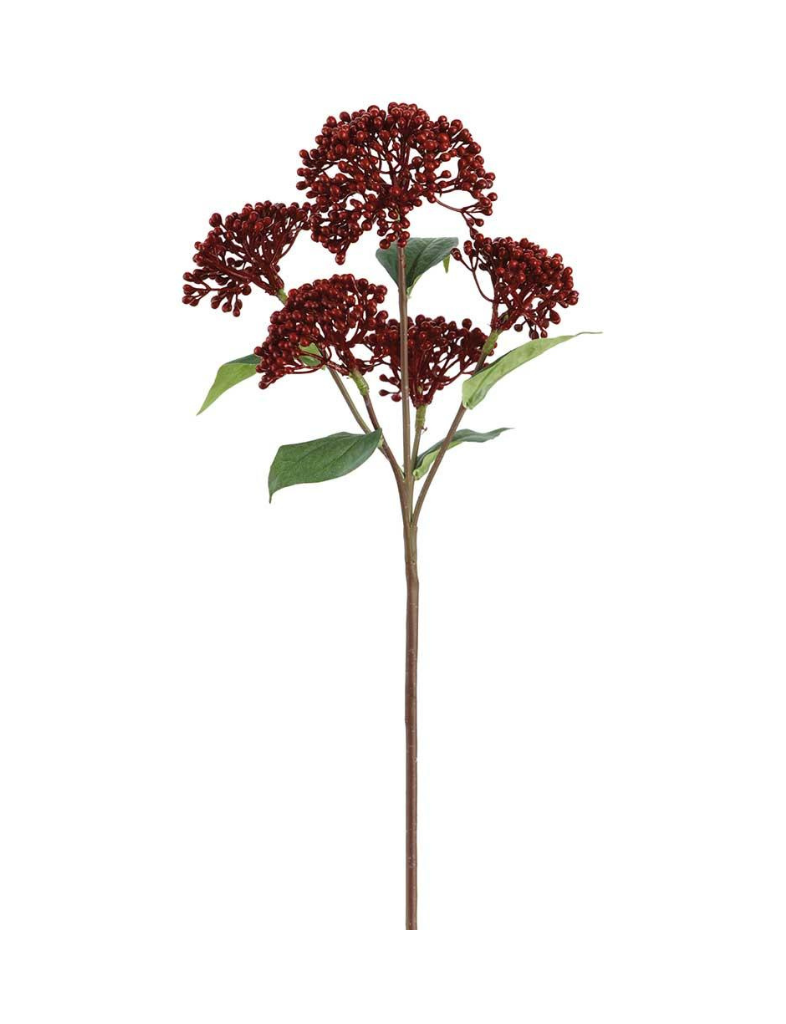 Red Sedum Stem