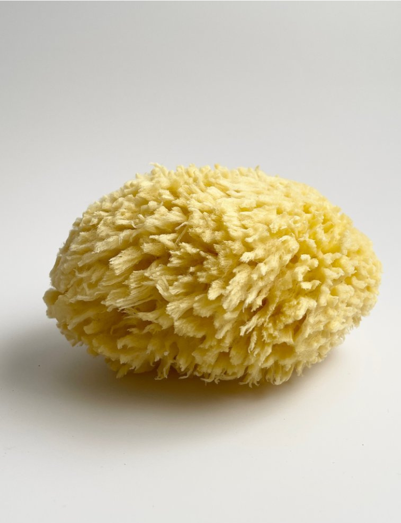 Natural Bath Sea Sponge