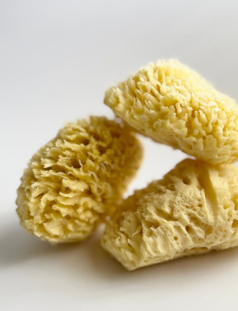 Natural Bath Sea Sponge