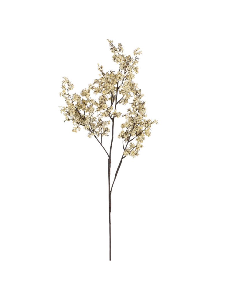 Sedge Stem