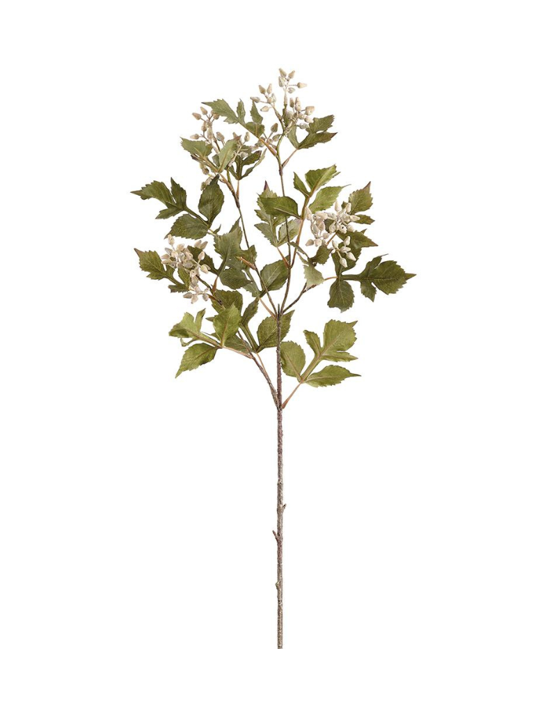 Seeded Ash Leaf Stem