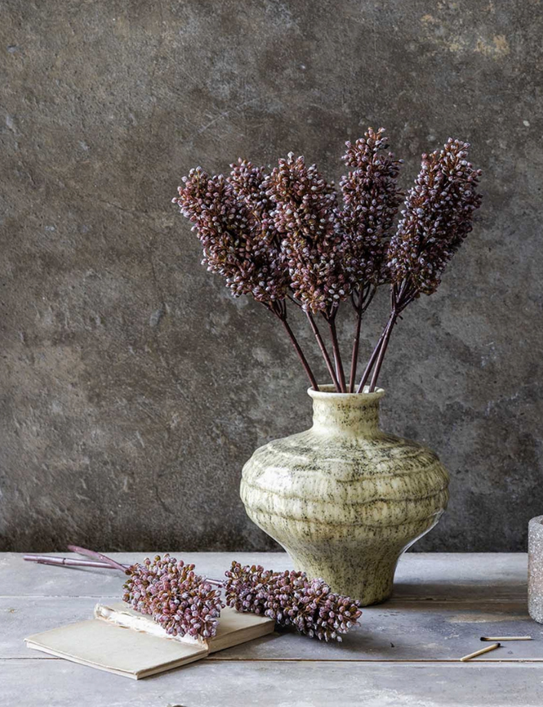Sorghum Stem