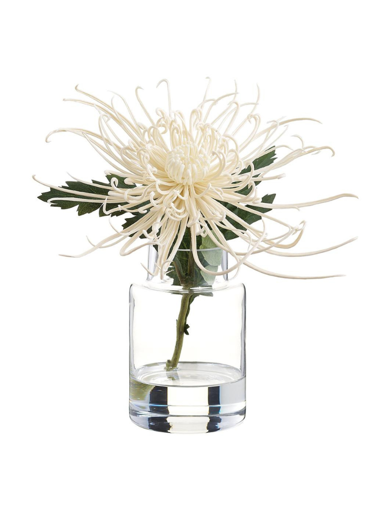Cream Spider Mum in Vase