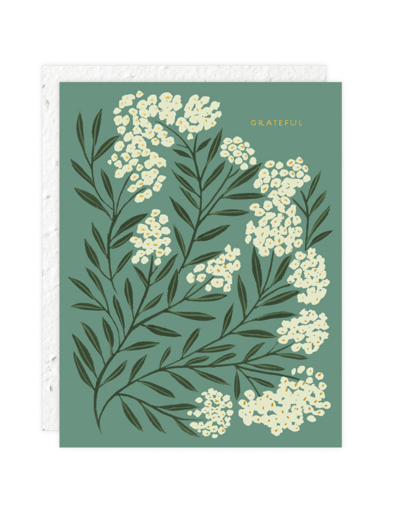 Grateful Card | Plantable Envelope