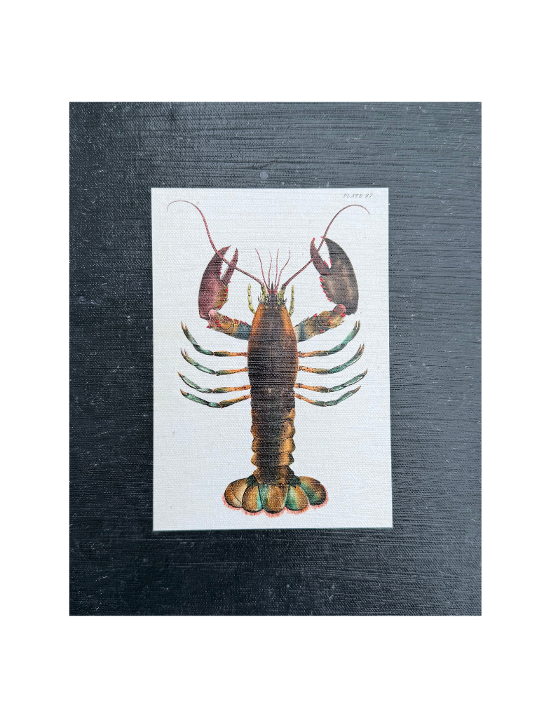 Vintage Lobster Print