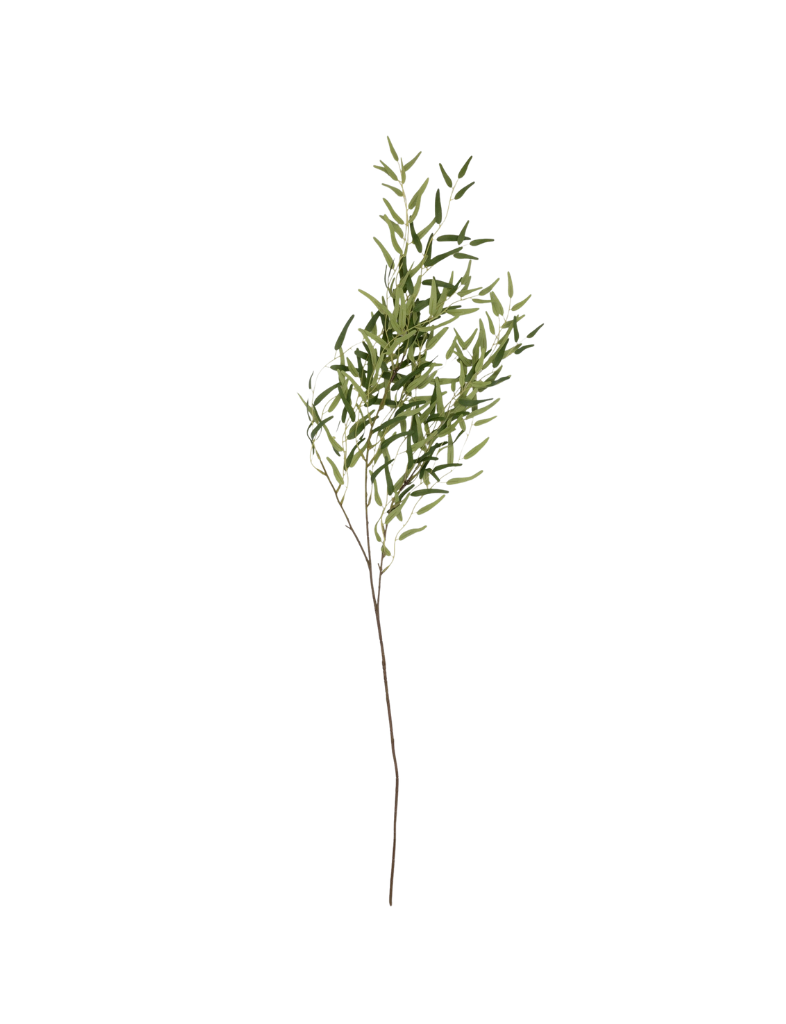 Willow Stem