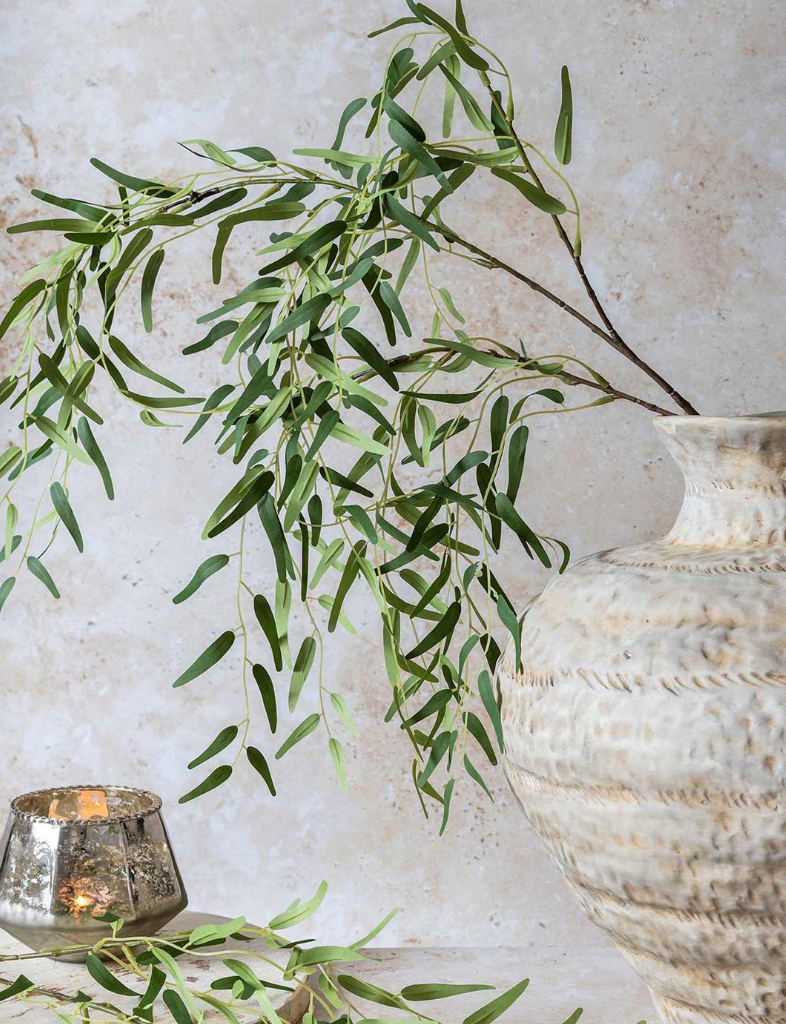 Willow Stem
